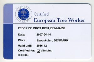 ETW - Certificeret European Treeworker