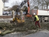 Træfældning Aarhus, Østjylland. Dich Træpleje aps