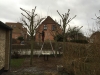 Opstart af knudebeskæring. 2016. Træbeskæring i Aarhus. ETW Certificeret.
