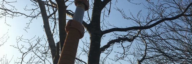 Sikker nedtagning af rågereder ved klatring. Træet tager ikke skade. Klatring er uden brug af klatresporer og der bliver (hvor det er nødvendigt) kun skåret helt små grene af træerne, for at kunne løsne rederne. Alt arbejde er naturligvis i overensstemmelse med Branchevejledning Erhvervsmæssig træklatring. Dich Træpleje aps